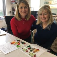 Sue Tinkler Art Glass