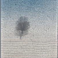 Sue Tinkler Art Glass