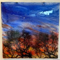 winter trees