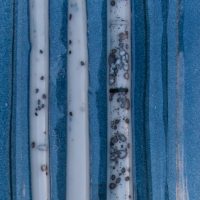 Sue Tinkler Art Glass