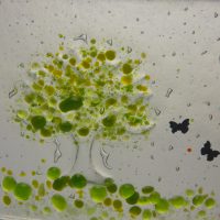 Sue Tinkler Art Glass