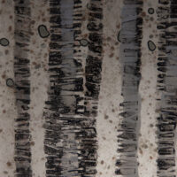Sue Tinkler Art Glass