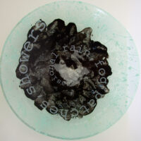 Sue Tinkler Art Glass