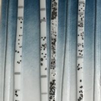 Sue Tinkler Art Glass