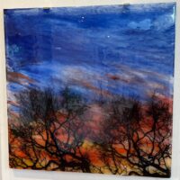 winter trees