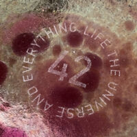 42-Life the universe and everything dish