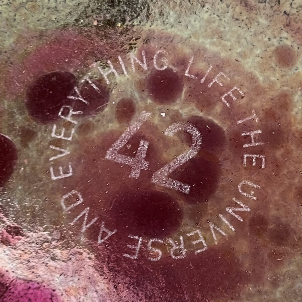 42-Life the universe and everything dish